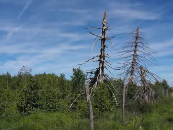 Signal de Botrange (Belgium)